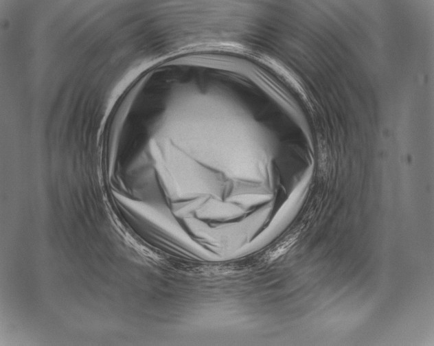 X0000076091102200610152312