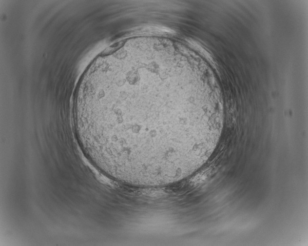 X0000076091103200610152312