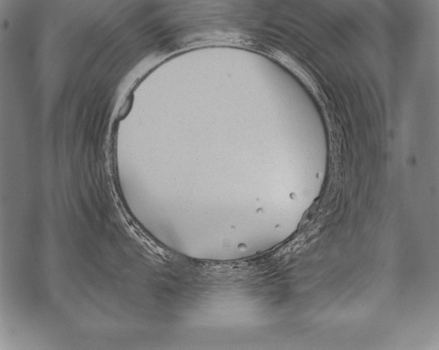 X0000076091104200610152312