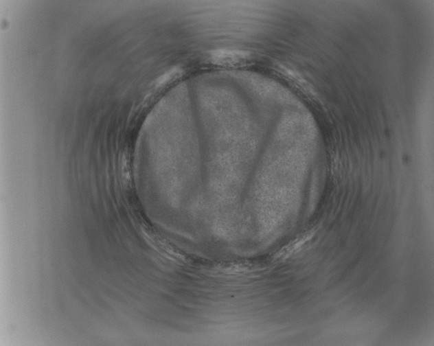 X0000076091106200610152311