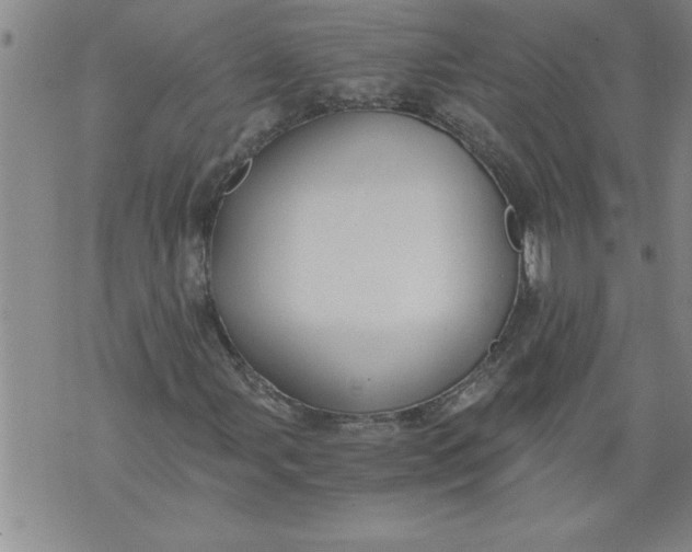 X0000076091107200610152311