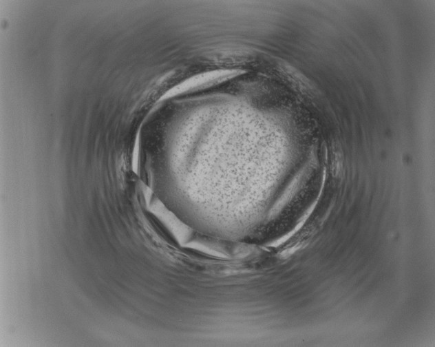 X0000076091108200610152311