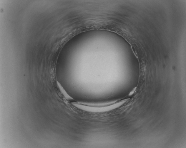 X0000076091109200610152311