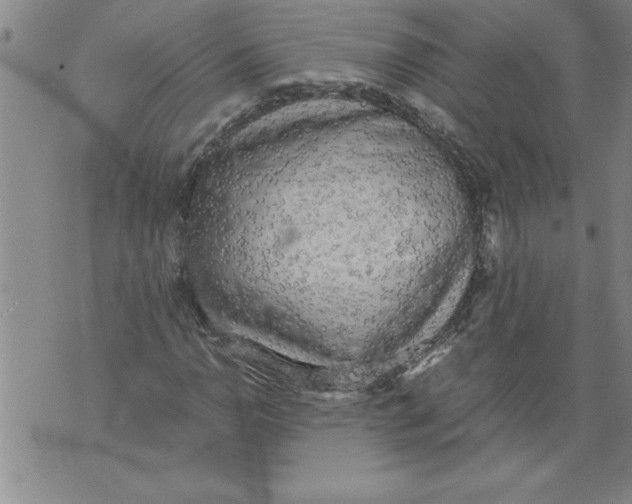 X0000076091110200610152311