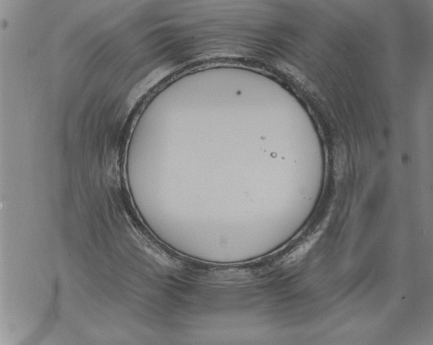 X0000076091113200610152311