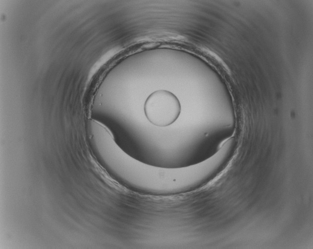 X0000076091114200610152311