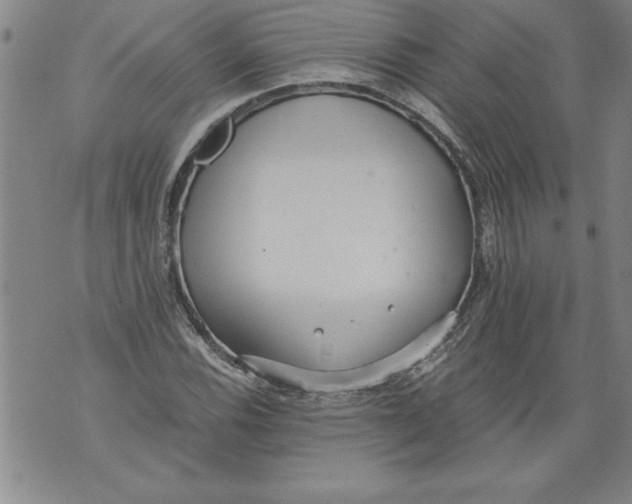 X0000076091116200610152311