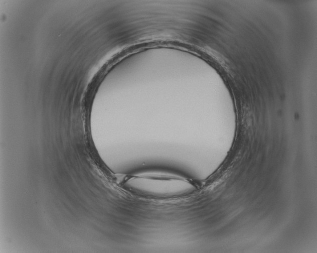 X0000076091118200610152311