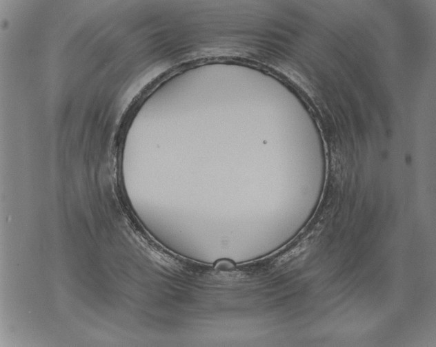 X0000076091119200610152311