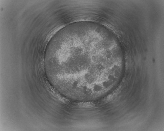 X0000076091121200610152311