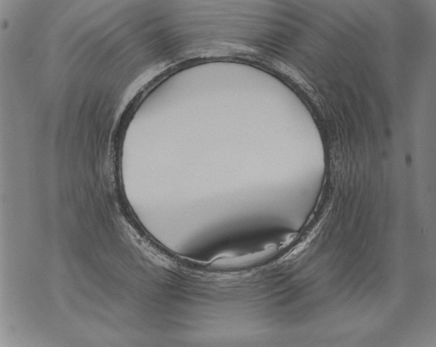 X0000076091122200610152311