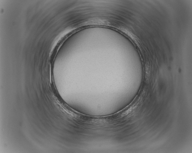 X0000076091123200610152311