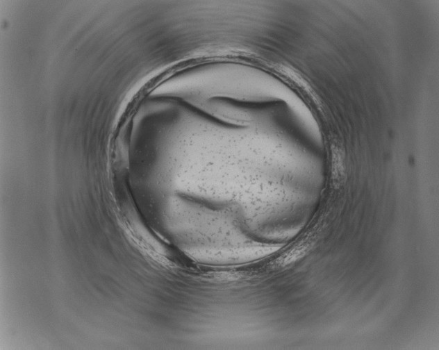 X0000076091124200610152311