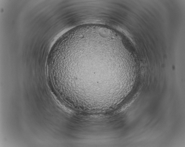 X0000076091125200610152311