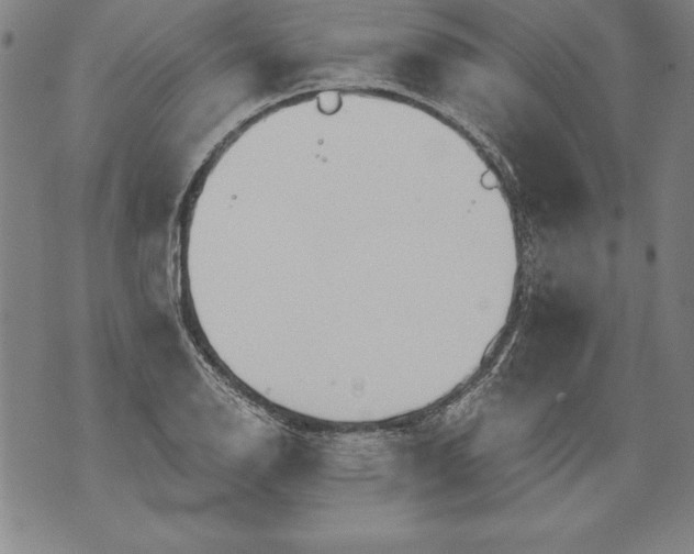 X0000076091126200610152312