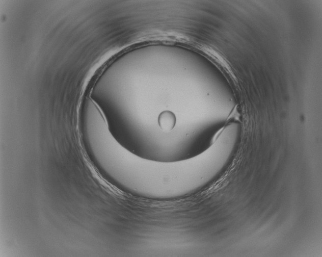 X0000076091128200610152312