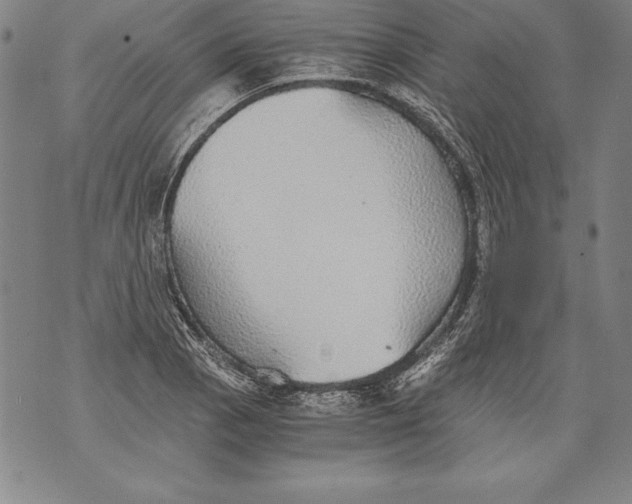 X0000076091129200610152312