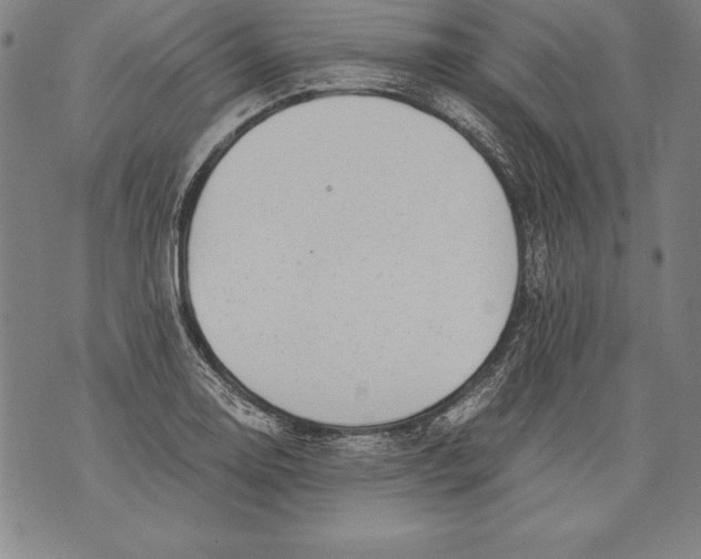 X0000076091130200610152312