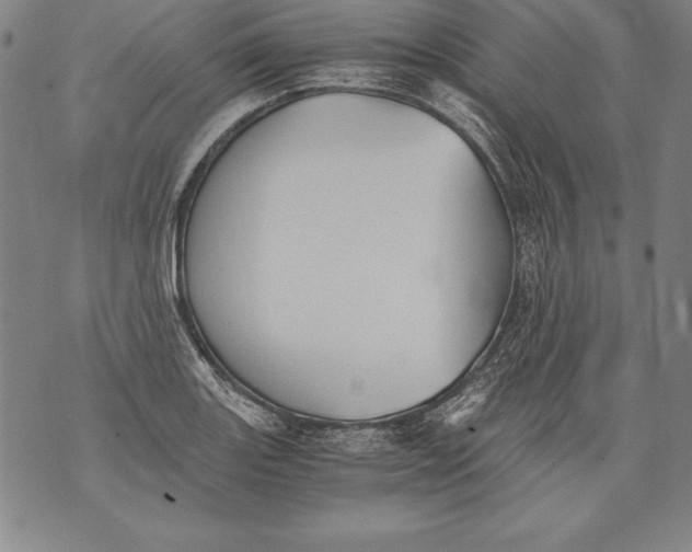 X0000076091131200610152312