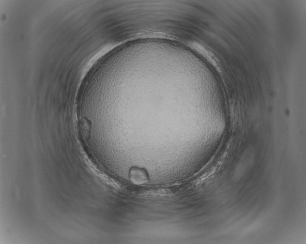 X0000076091133200610152312