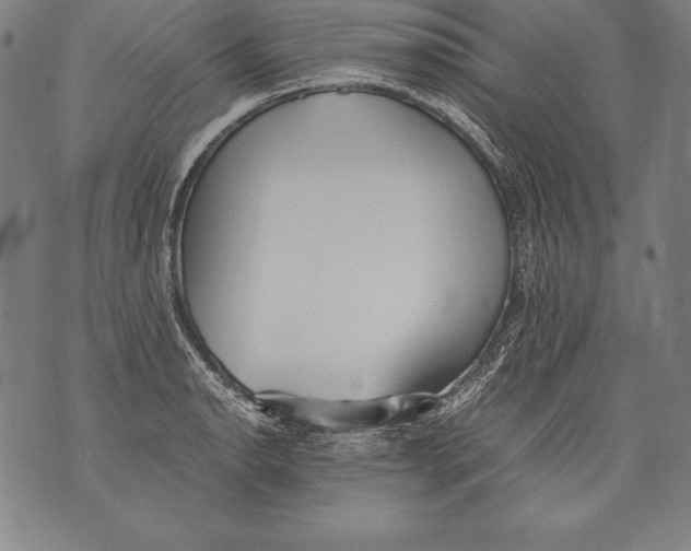 X0000076091134200610152312