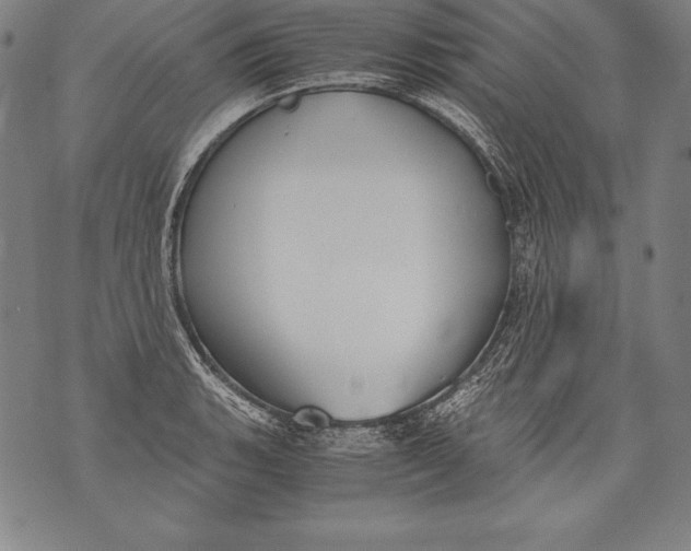 X0000076091135200610152312