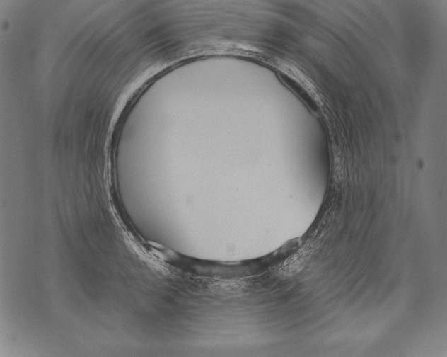 X0000076091136200610152312