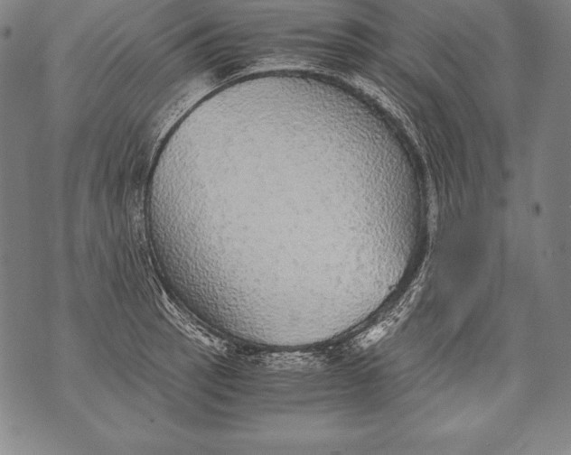 X0000076091137200610152312