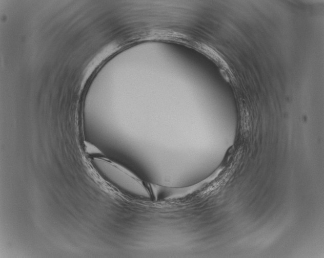 X0000076091138200610152312