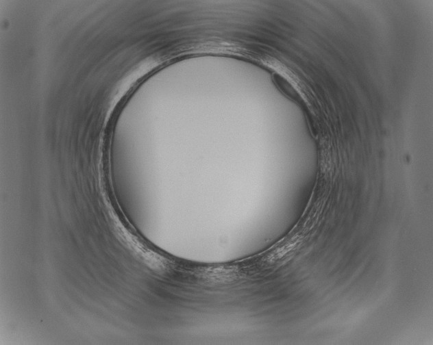 X0000076091139200610152312