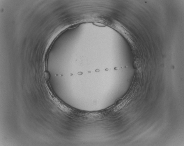 X0000076091140200610152312