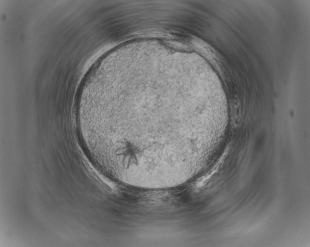 X0000076091141200610152312