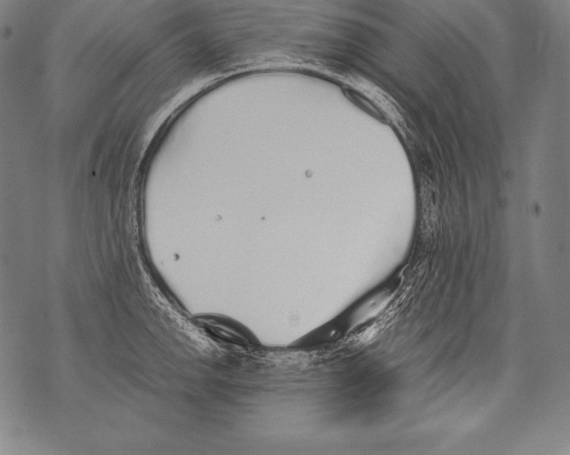 X0000076091142200610152312