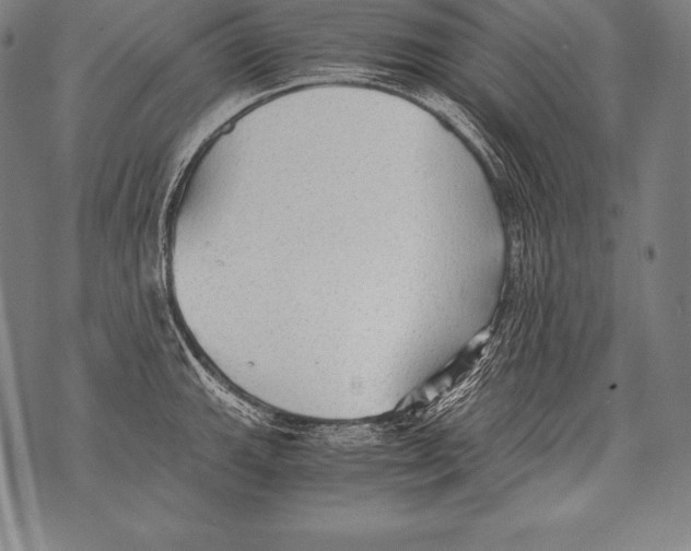 X0000076091143200610152312