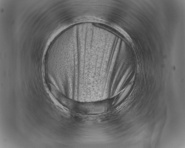 X0000076091144200610152312