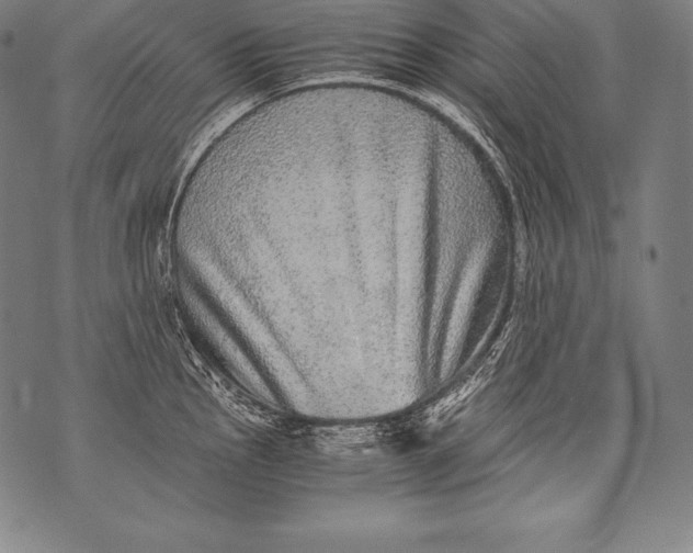 X0000076091145200610152312