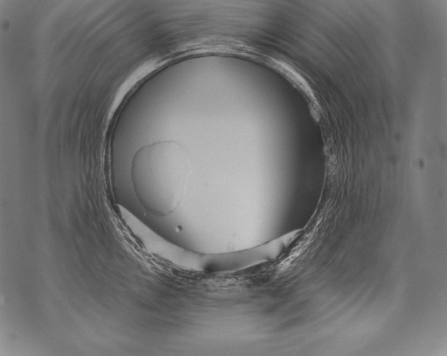 X0000076091146200610152312