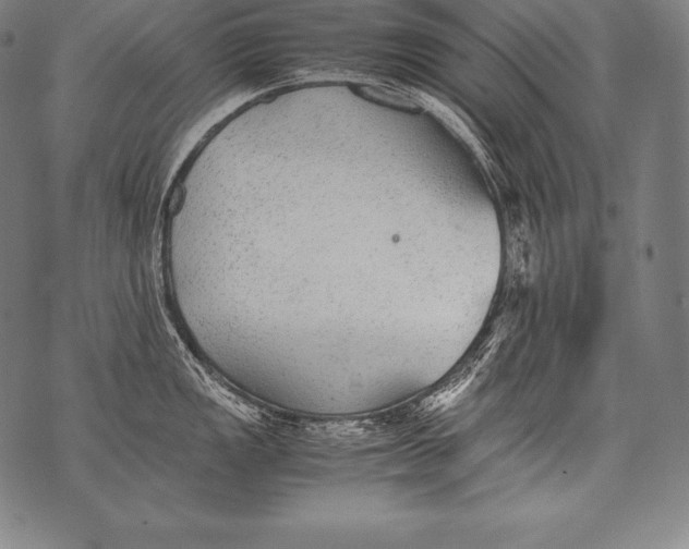 X0000076091149200610152312