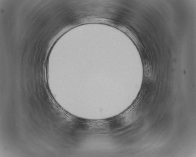 X0000076091150200610152312