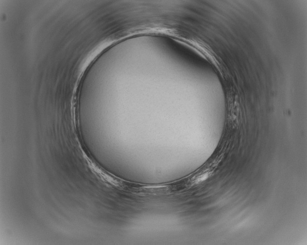 X0000076091151200610152312