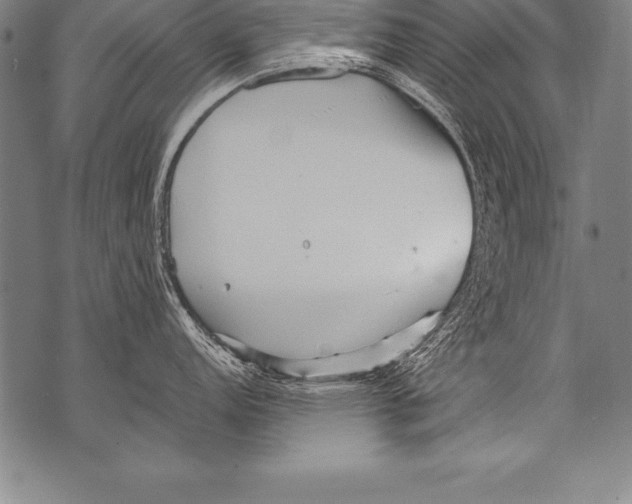 X0000076091152200610152312