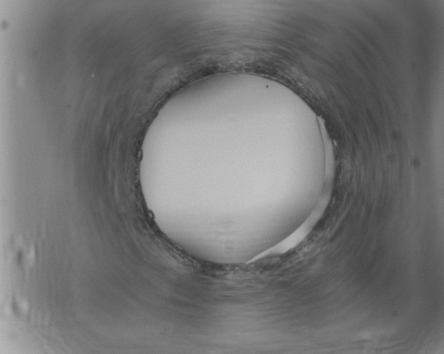 X0000076091153200610152311