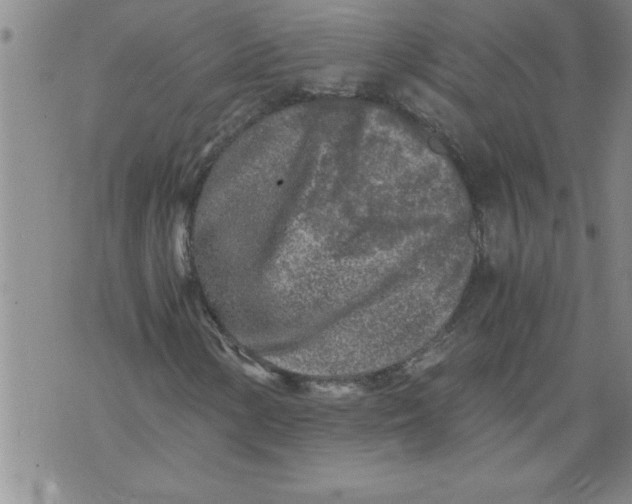 X0000076091154200610152311