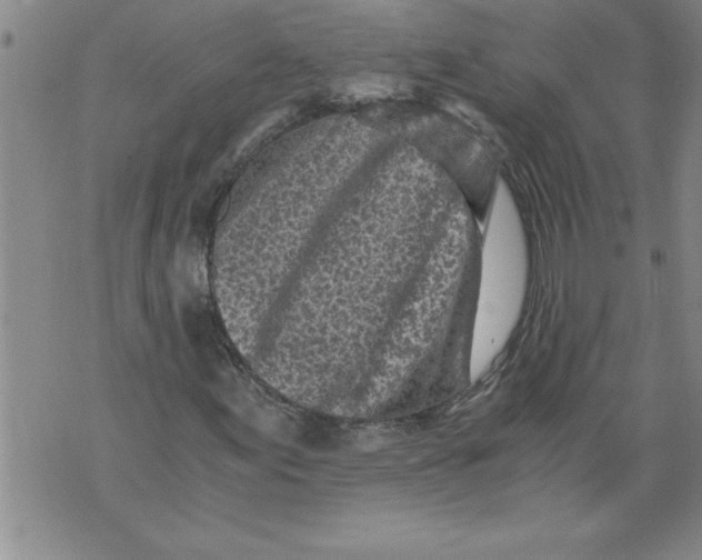 X0000076091155200610152311