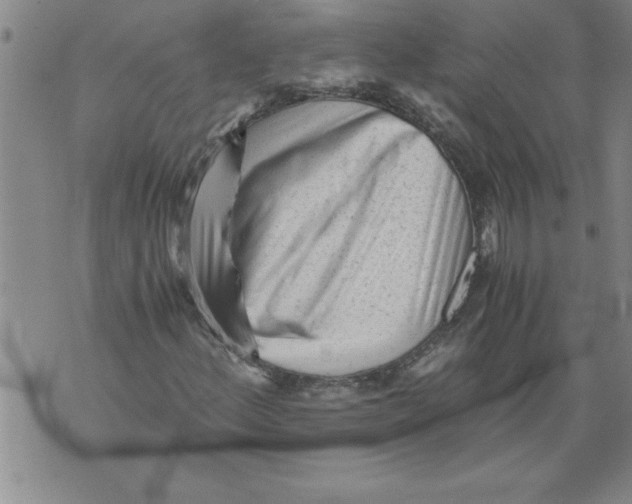 X0000076091156200610152311