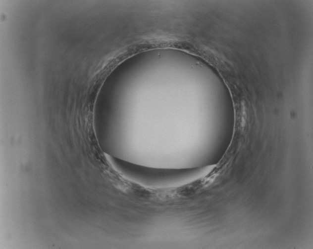 X0000076091157200610152311