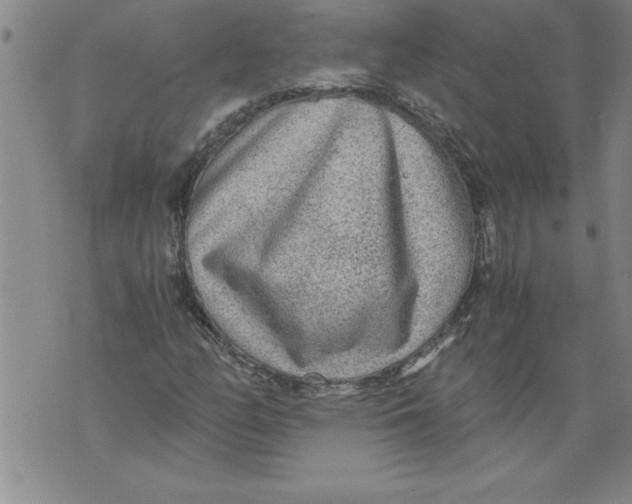 X0000076091158200610152311