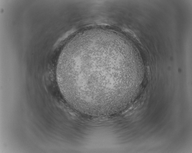 X0000076091159200610152311