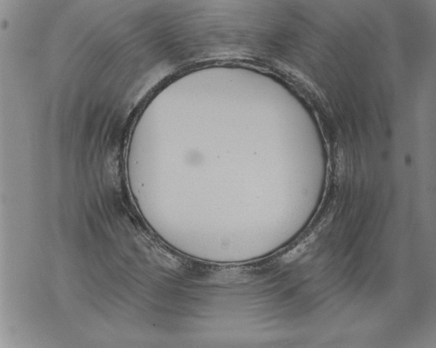 X0000076091162200610152311