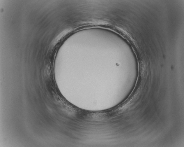 X0000076091163200610152311